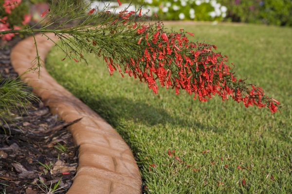 Brick Edging in Pueblo