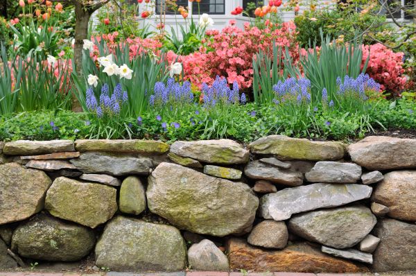 Stone Wall Hardscaping in Pueblo